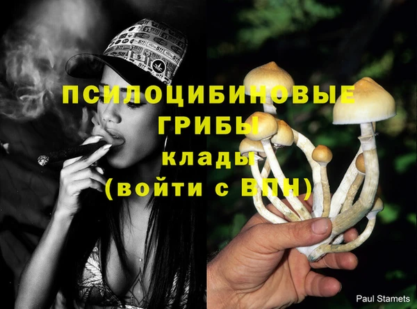 прущие крисы Баксан
