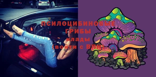 прущие крисы Баксан