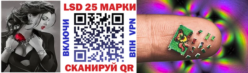 купить наркоту Кудрово блэк спрут как войти Наркотические марки 1,5мг
