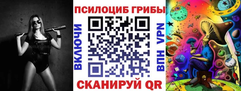 Галлюциногенные грибы Cubensis  нарко площадка какой сайт  Кудрово 